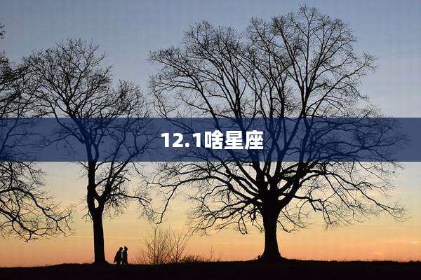 12.1啥星座