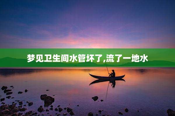 梦见卫生间水管坏了,流了一地水