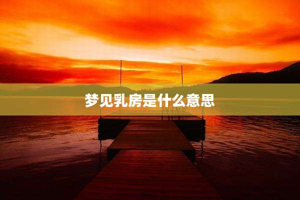 梦见乳房是什么意思