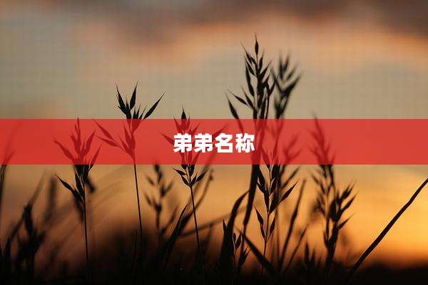 弟弟名称