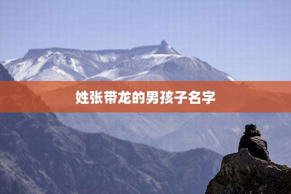 姓张带龙的男孩子名字