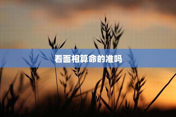 看面相算命的准吗
