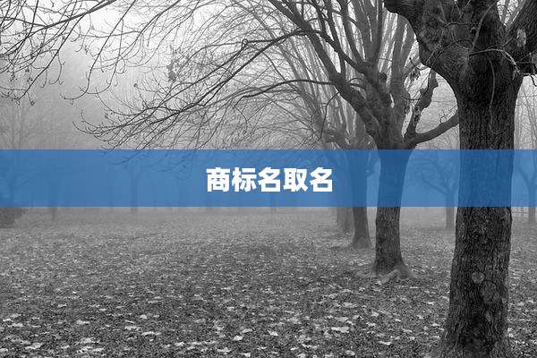 商标名取名