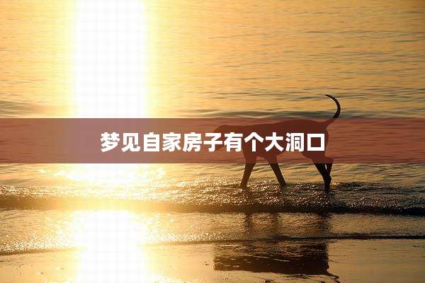梦见自家房子有个大洞口