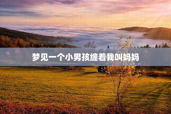 梦见一个小男孩缠着我叫妈妈