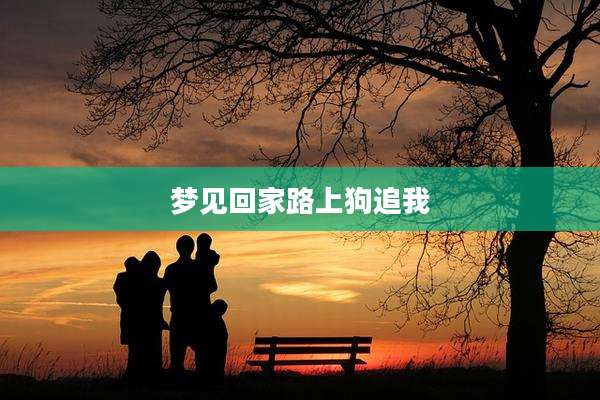 梦见回家路上狗追我