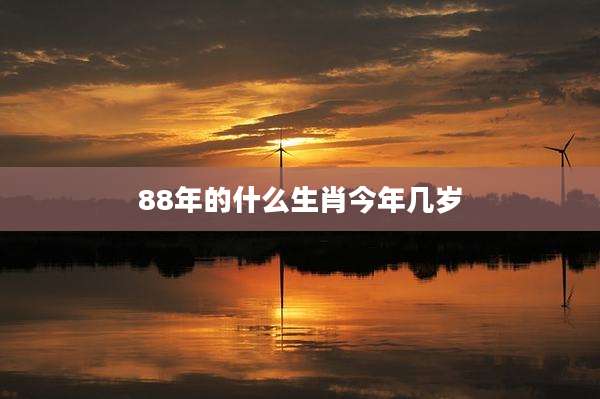 88年的什么生肖今年几岁