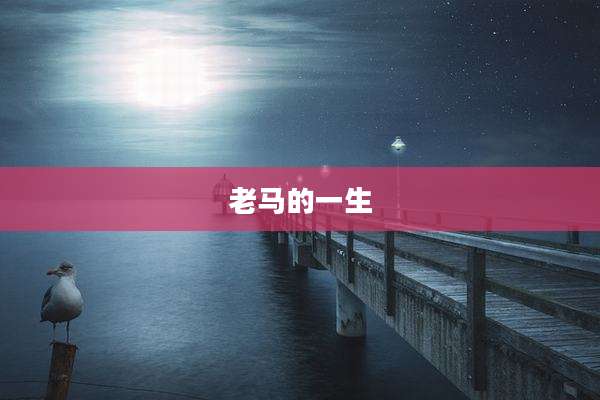 老马的一生