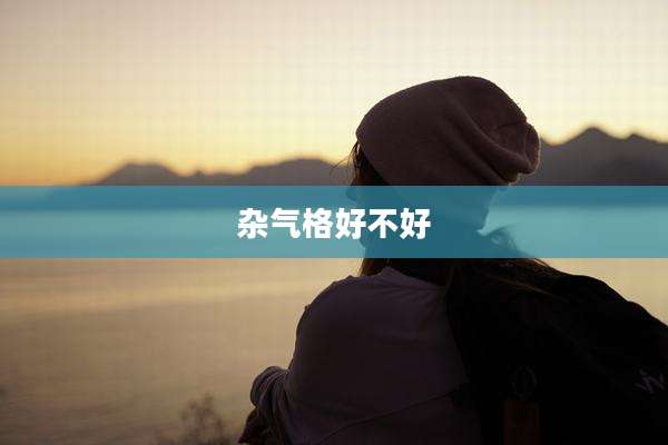 杂气格好不好