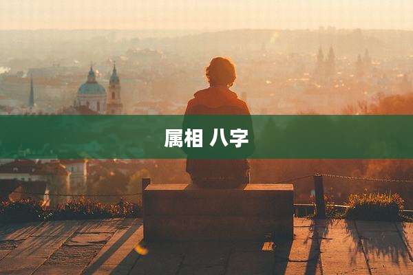 属相 八字