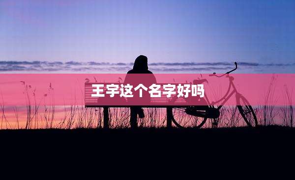 王宇这个名字好吗