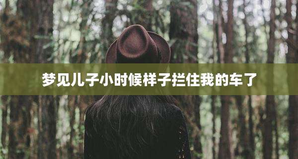 梦见儿子小时候样子拦住我的车了