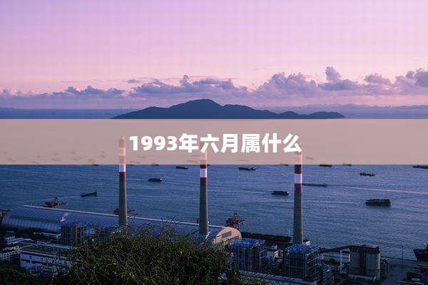 1993年六月属什么