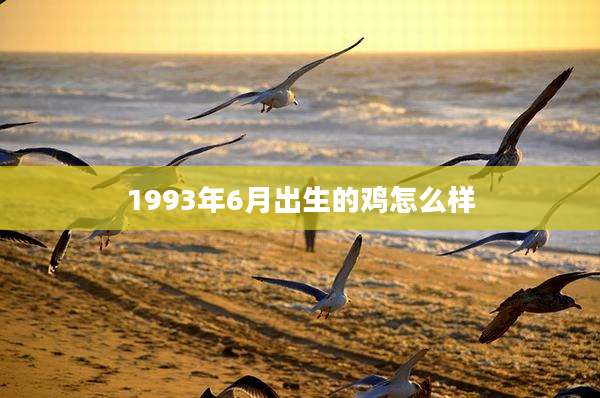 1993年6月出生的鸡怎么样