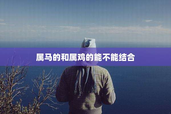 属马的和属鸡的能不能结合
