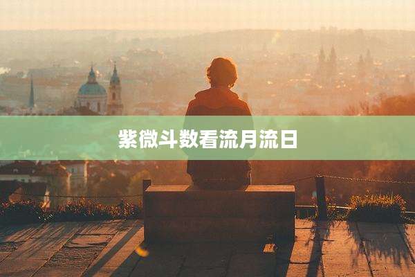 紫微斗数看流月流日