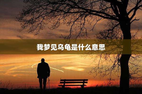 我梦见乌龟是什么意思
