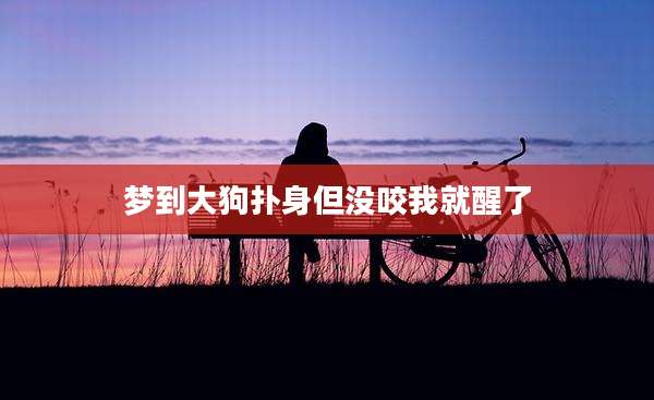 梦到大狗扑身但没咬我就醒了
