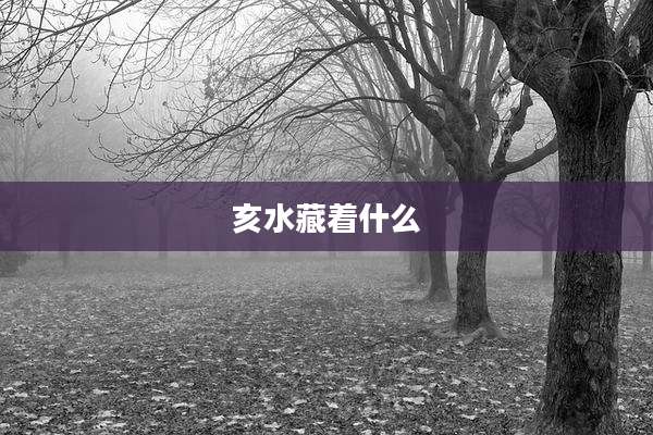 亥水藏着什么