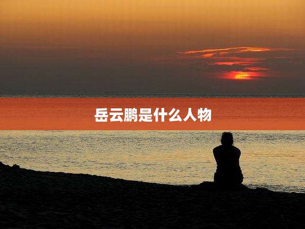 岳云鹏是什么人物