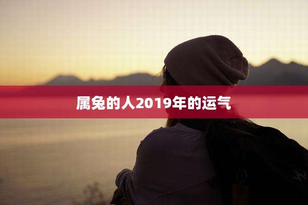 属兔的人2019年的运气