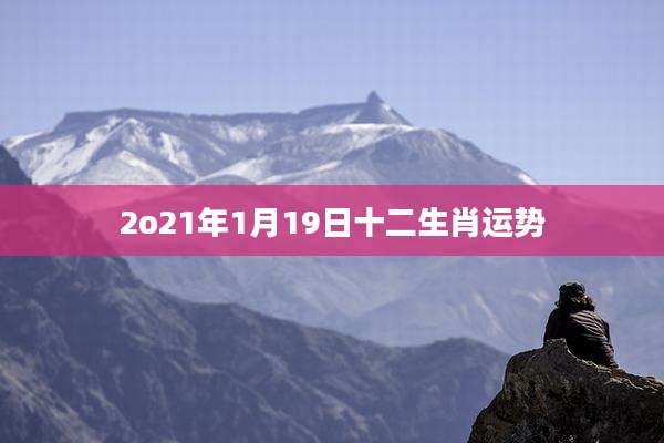2o21年1月19日十二生肖运势