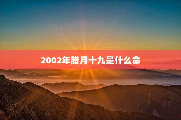 2002年腊月十九是什么命