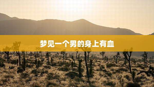 梦见一个男的身上有血