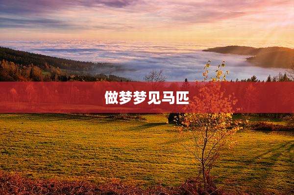 做梦梦见马匹