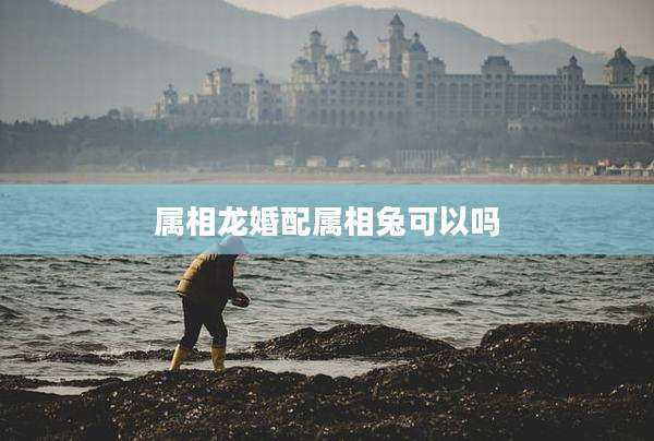 属相龙婚配属相兔可以吗