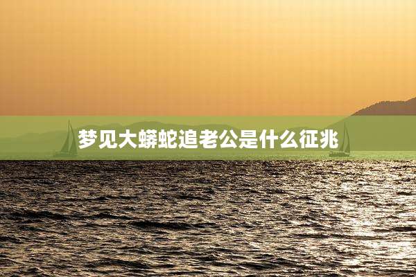 梦见大蟒蛇追老公是什么征兆