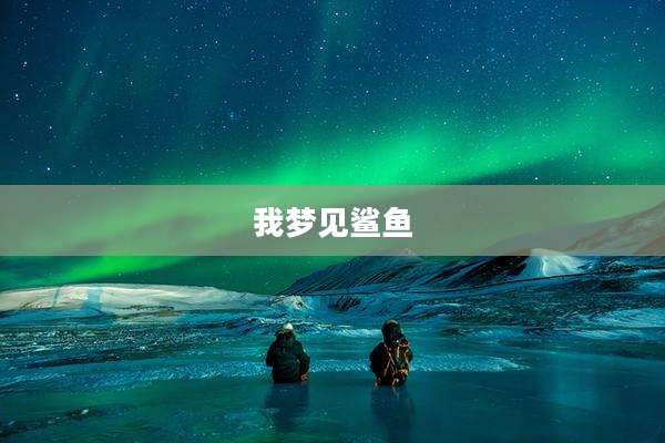 我梦见鲨鱼