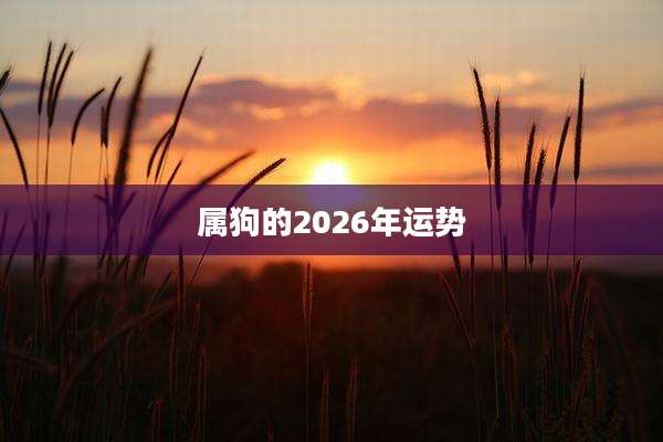 属狗的2026年运势