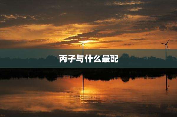 丙子与什么最配