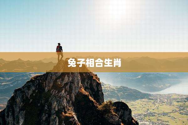 兔子相合生肖