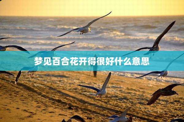 梦见百合花开得很好什么意思