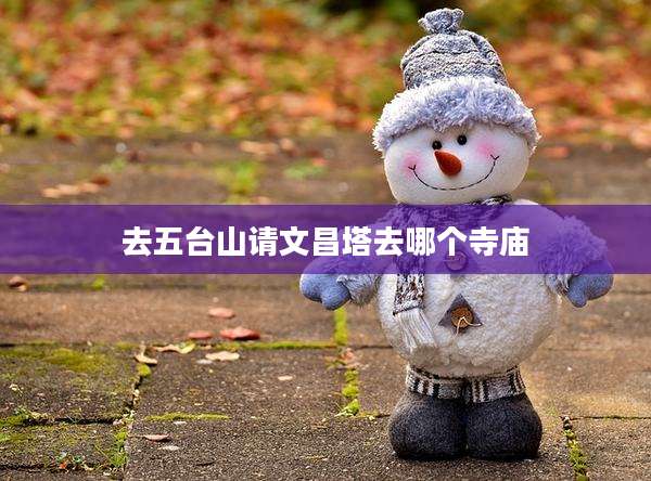 去五台山请文昌塔去哪个寺庙