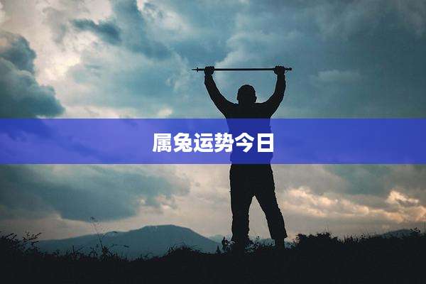 属兔运势今日