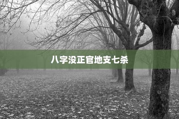 八字没正官地支七杀
