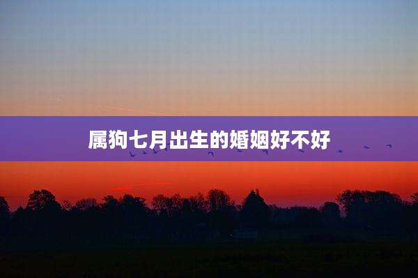 属狗七月出生的婚姻好不好