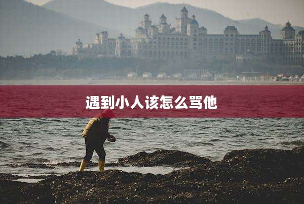 遇到小人该怎么骂他