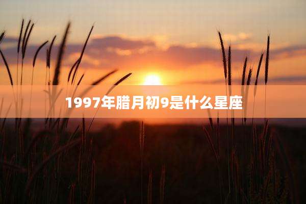 1997年腊月初9是什么星座