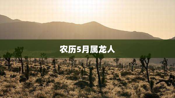 农历5月属龙人