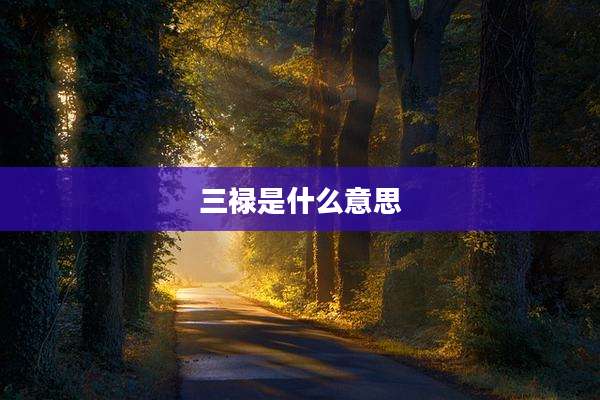 三禄是什么意思