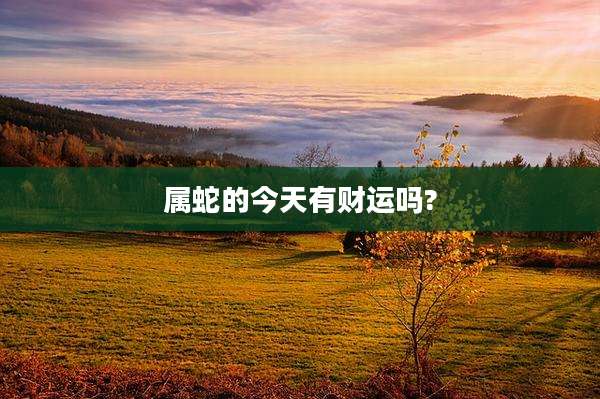 属蛇的今天有财运吗?