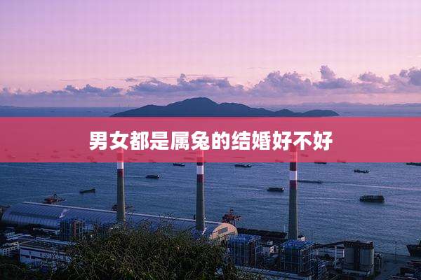 男女都是属兔的结婚好不好