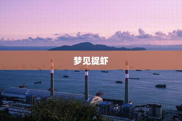 梦见捉虾