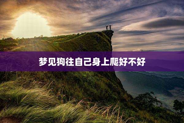 梦见狗往自己身上爬好不好