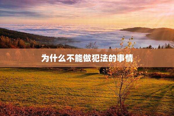 为什么不能做犯法的事情
