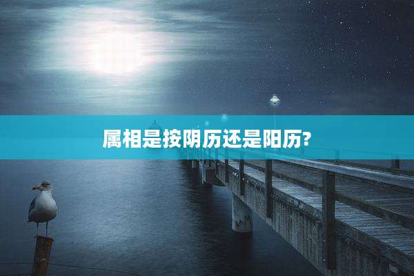 属相是按阴历还是阳历?